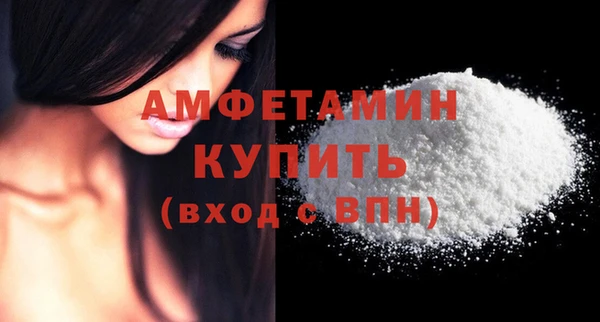 шишки Верхний Тагил