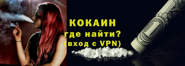 шишки Верхний Тагил