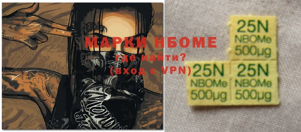 шишки Верхний Тагил