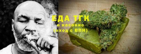 шишки Верхний Тагил