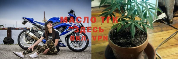 шишки Верхний Тагил