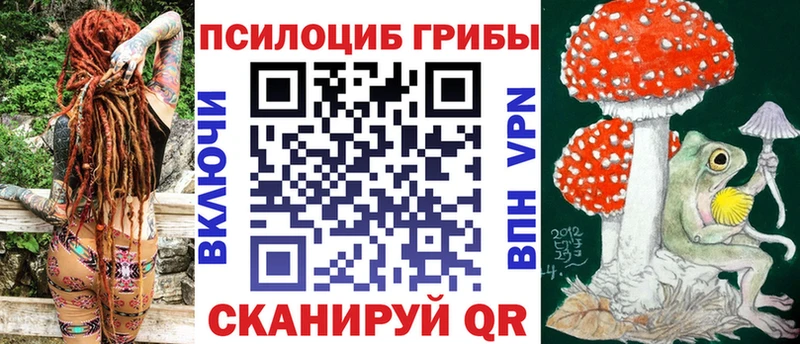 блэк спрут зеркало  Кудрово  Галлюциногенные грибы Psilocybine cubensis 
